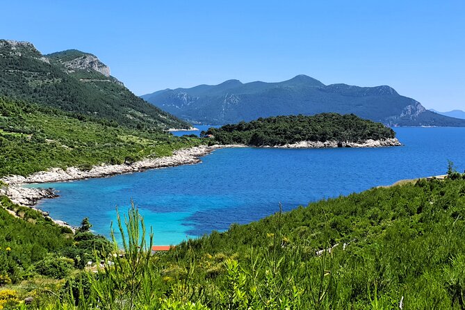 Dubrovnik Private Wine Tasting Tour to Peljesac Peninsula - Guides that make it feel personal, from Marko to Mario