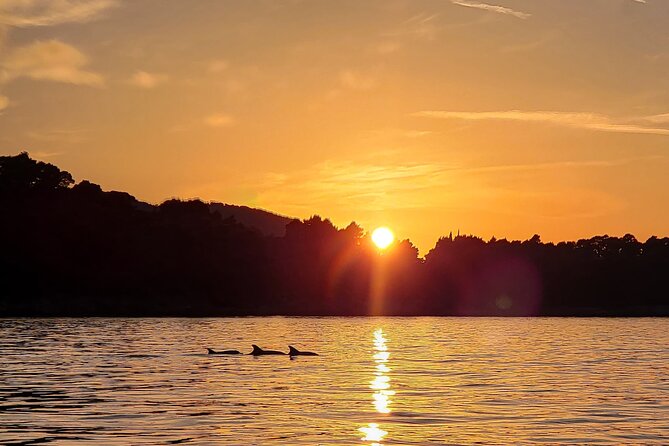Dubrovnik Romantic Sunset Boat Tour - What Sunset Sailing Really Gives You (Beyond Just Pretty Views)