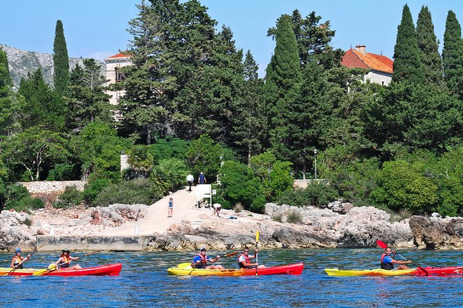Dubrovnik: Sea Kayaking & Snorkeling Tour - Guides, Group Size, and the Solo Question