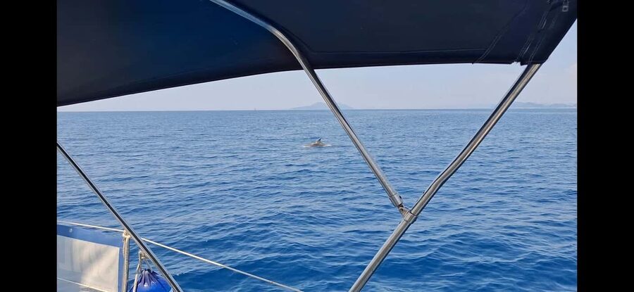 Dubrovnik yacht cruise-Elafity islands & Blue cave - Kolocep Island and the Blue Cave: where the swim time actually counts
