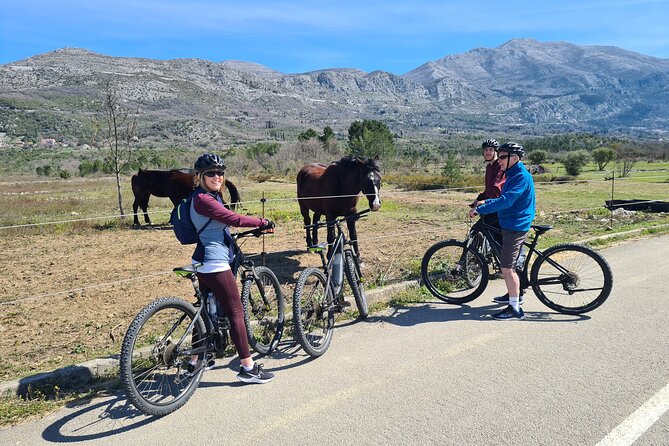 E-Bike Tour + Gourmet Lunch + Wine Tasting (Small Group) - The Lunch and Wine Part, Without the Pretend Flair