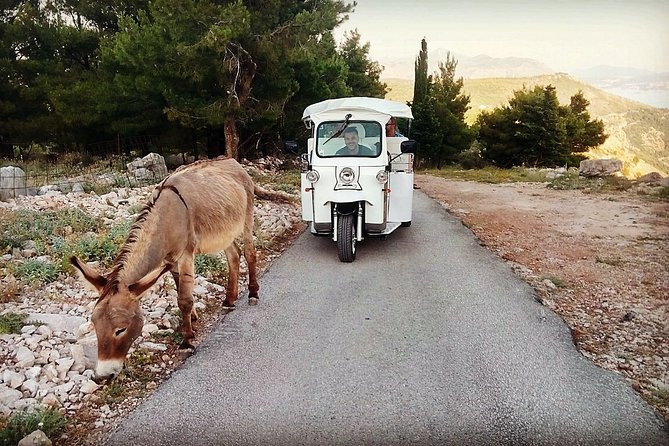 E-Tuk Tuk Tour in Dubrovnik - Pickup, timing, and what 1 hour 45 minutes gives you
