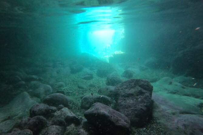 Elaphiti Island private boat tour - Drinks, Snorkeling Gear, and What You Need to Bring