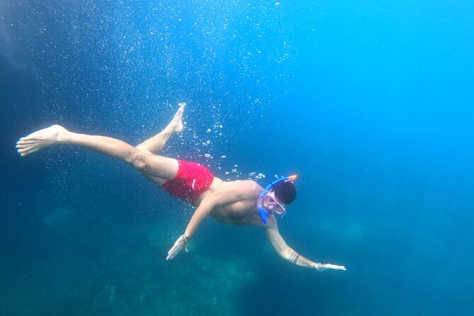 Exclusive private full day boat tour from Dubrovnik & Free drinks - Lopud Island snorkel coves, botanical garden time, and seafood lunch options