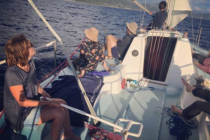 Experience full day sailing from Dubrovnik to Elaphiti islands - Afternoon on Šipan: the lunch stop that shapes your day