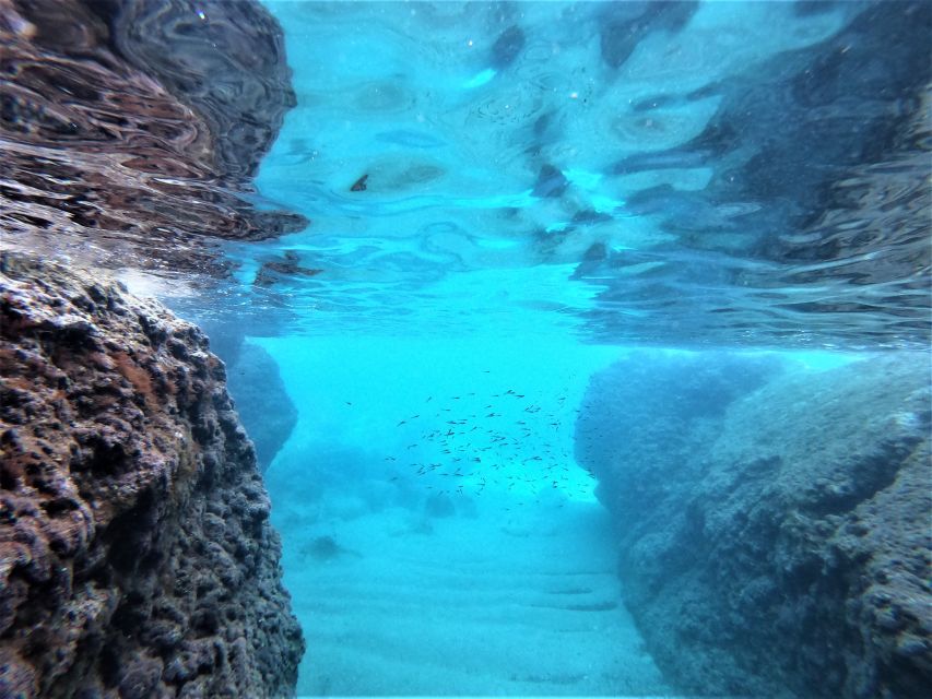 From Dubrovnik: 4-hour Elafiti Islands Private Boat Tour - Timing, sea conditions, and what to pack so you’re comfortable