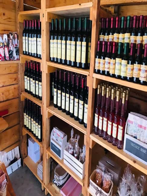 From Dubrovnik: Half-Day Wine Tasting and Cavtat City Tour - Konavle Valley wine tasting: why this feels different