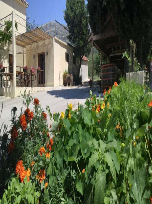 From Dubrovnik: Half-Day Wine Tasting and Cavtat City Tour - The family winery visit: wines, liquors, and homemade food pairing
