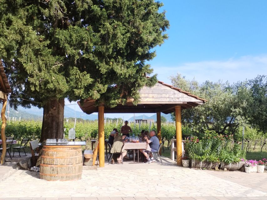 From Dubrovnik: Half-Day Wine Tasting and Cavtat City Tour - Guides, drivers, and small-group comfort