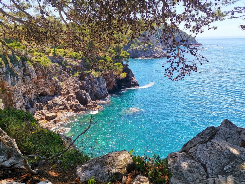 From Dubrovnik: Hiking & Swimming on Koločep Island Day Trip - Who this Koločep hike suits (and who should pick another plan)