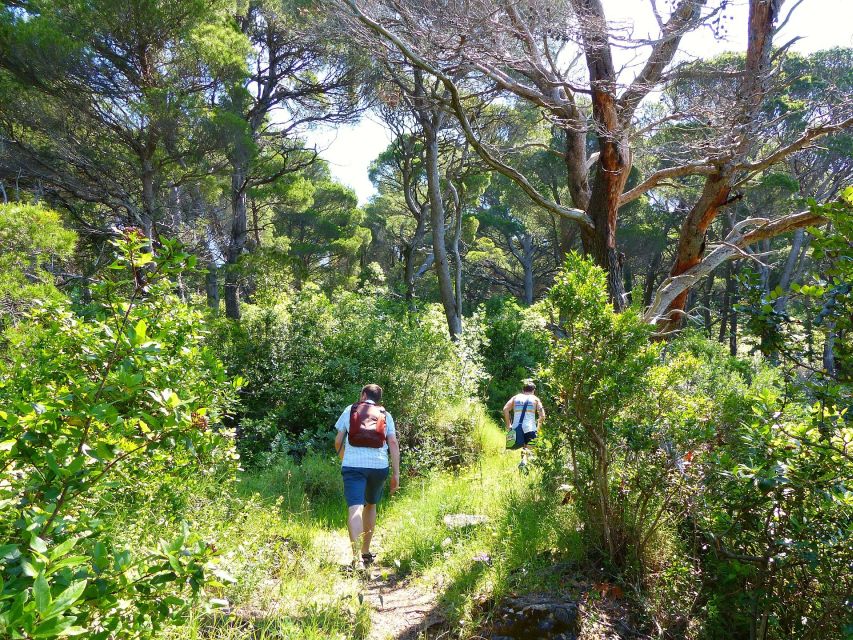 From Dubrovnik: Hiking & Swimming on Koločep Island Day Trip - Booking verdict: should you book this Koločep Hiking tour?