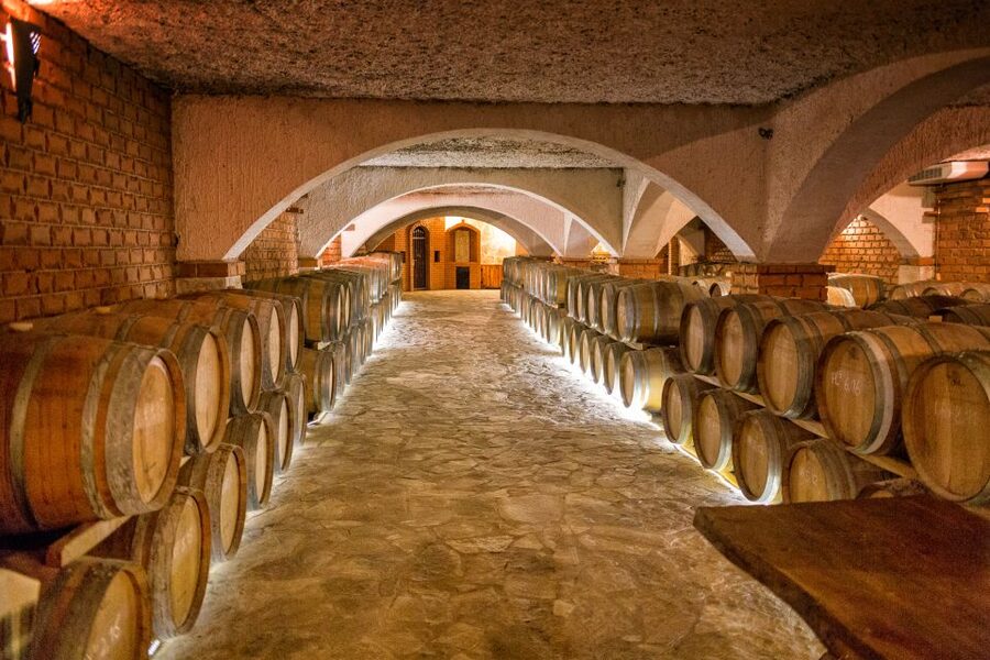 From Dubrovnik: Island of Korčula with wine tasting - Korčula old town and the Marco Polo birthplace story