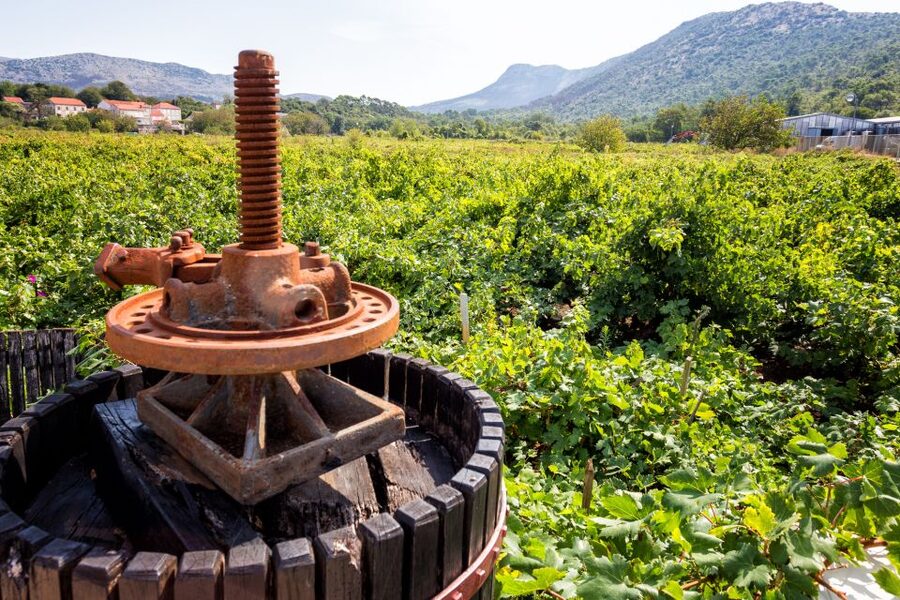 From Dubrovnik: Island of Korčula with wine tasting - Ston’s walls, oysters, and salt ponds: what you actually get to see