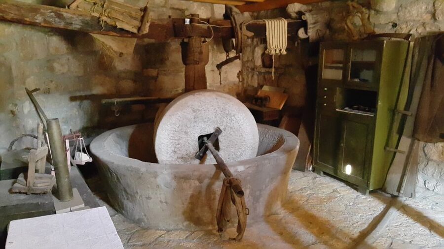 From Dubrovnik: Majkovi Village and Ston Private Food Tour - A comfortable, private day that actually fits