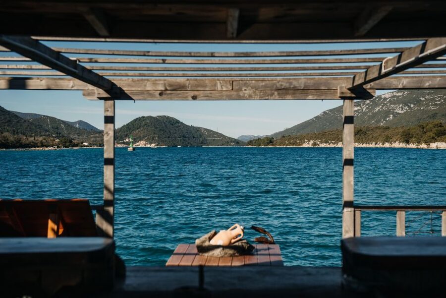 From Dubrovnik: Mali Ston Oyster Paradise Tour with Transfer - Key highlights worth your attention