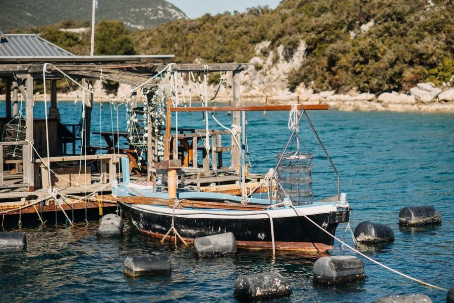 From Dubrovnik: Mali Ston Oyster Paradise Tour with Transfer - The oyster tasting, sauces, dessert, and wine pairing