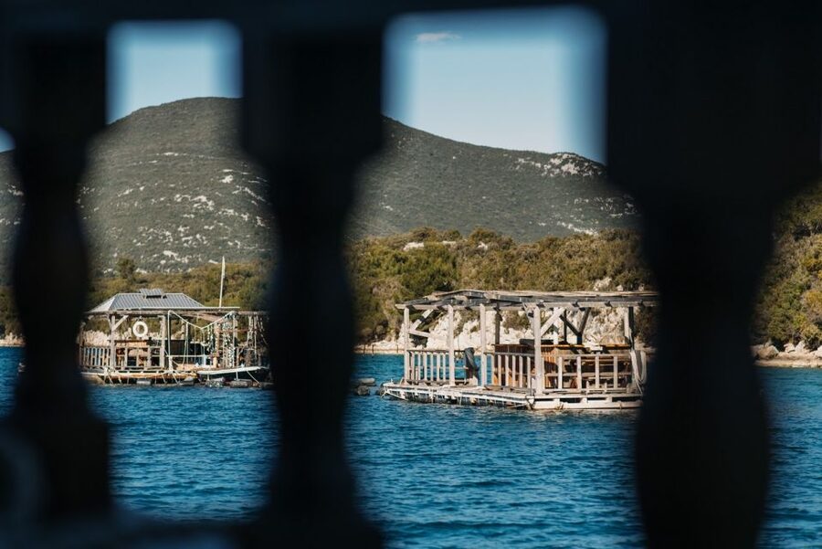 From Dubrovnik: Mali Ston Oyster Paradise Tour with Transfer - Who should book this tour from Dubrovnik?