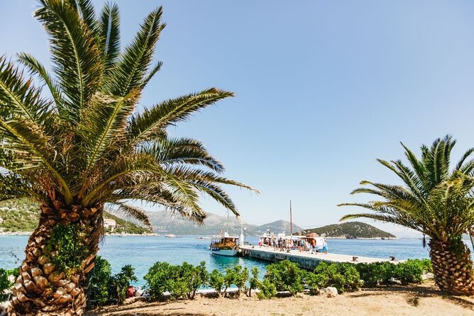 From Dubrovnik: Premium Three Island Cruise with lunch and drinks - Stop 3: Koločep, the Calm Finish and Where to Swim Late