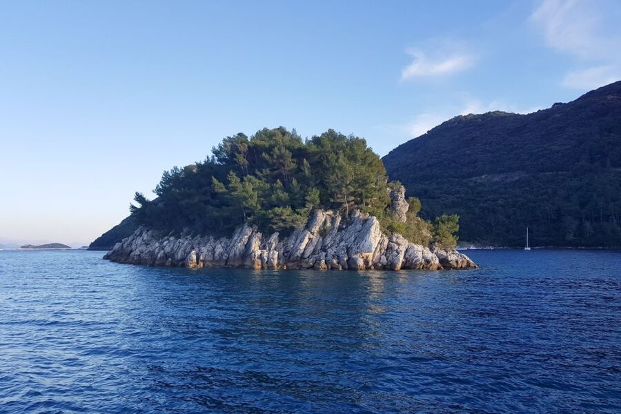 From Dubrovnik: Pvt Speedboat Cruise to Mljet&Sipanska Luka - Should you book this private speedboat to Sipan and Mljet?