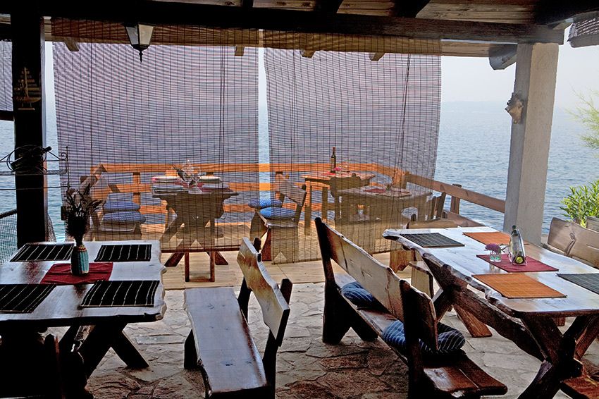 Full-Day Peljesac Wine Tour - What wines you might hear about, including Plavac Mali and Zinfandel roots