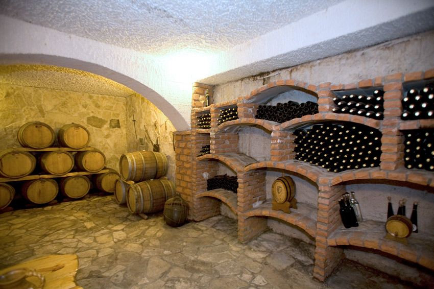 Full-Day Peljesac Wine Tour - The Dingac walk: bring comfy shoes and expect real winery views