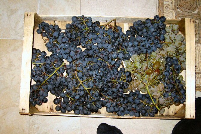 Half Day Tour - Deep and Dark Red Wine of Pelješac - Price and value from Dubrovnik: when it feels fair, when it doesn’t