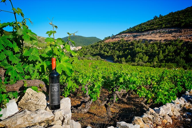 Half Day Tour - Deep and Dark Red Wine of Pelješac - What to ask before booking (so you get the day you want)