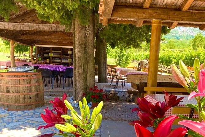 Half-Day Wine and Food Tasting from Dubrovnik - A Half-Day Wine Break from Dubrovnik’s Old Town