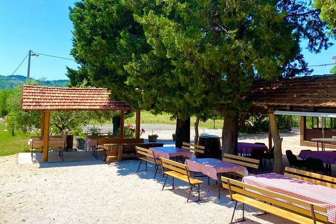 Half-Day Wine and Food Tasting from Dubrovnik - Cavtat Old Town Time: Coffee, Ice Cream, and a Slower Pace