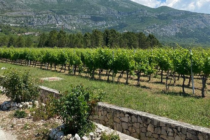 Half-Day Wine and Food Tasting from Dubrovnik - Getting There: Pickup, Van Rides, and Family Conversation
