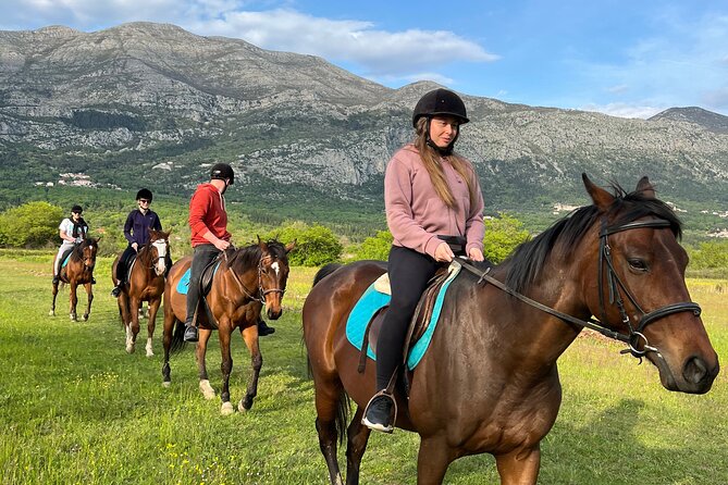 Horseback Riding Experience with transport from Dubrovnik - Key takeaways before you go