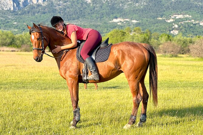 Horseback Riding Experience with transport from Dubrovnik - Konavle’s Horse Trail Meets Snježnica Views