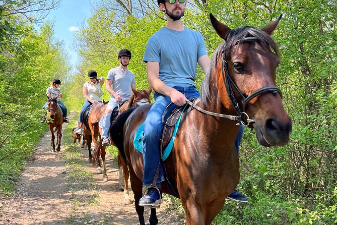 Horseback Riding Experience with transport from Dubrovnik - What You Do on the 60-Minute Ride Through Vineyards and Forest