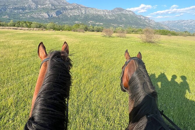Horseback Riding Experience with transport from Dubrovnik - Who This Trip Fits, and Who Might Prefer Longer Riding