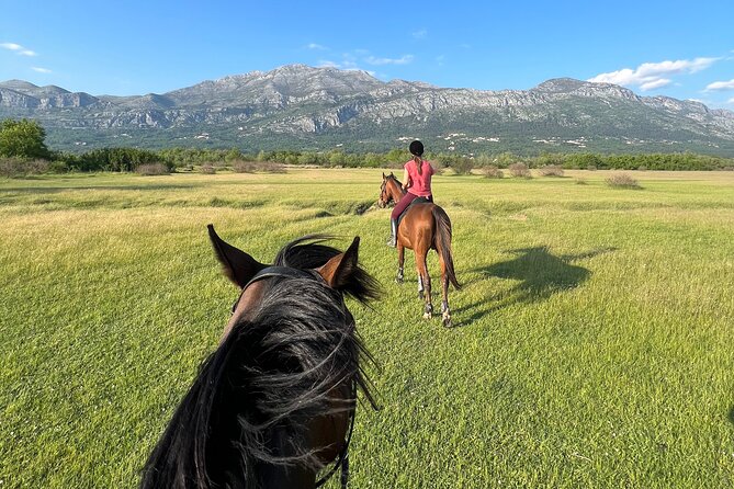 Horseback Riding Experience with transport from Dubrovnik - How the Dubrovnik Pickup Works One Hour Before
