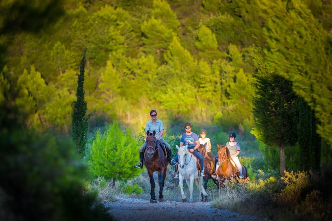 Horseback Riding in Konavle Region with Transport from Dubrovnik - From hotel pickup to Kojan Koral: the evening logistics that matter