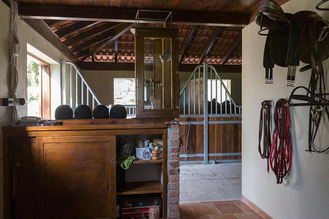 Horseback Riding in Konavle Region with Transport from Dubrovnik - Meeting your horse on Konavle trails