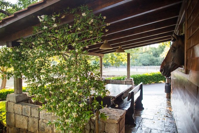 Horseback Riding in Konavle Region with Transport from Dubrovnik - Who this horseback ride fits best, and who might want alternatives