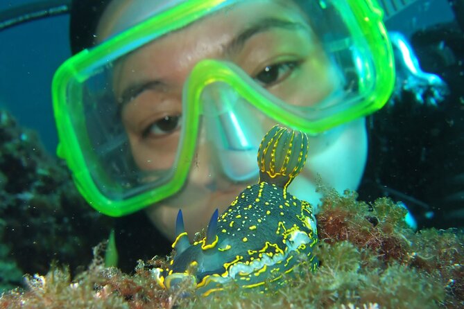 Intro Dive in Dubrovnik - Where You Start in Dubrovnik, and Why It Matters