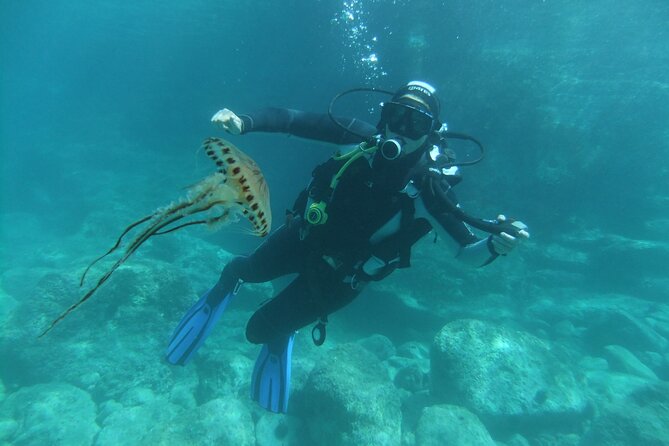 Intro Dive in Dubrovnik - Weather, Timing, and Keeping Your Schedule Calm