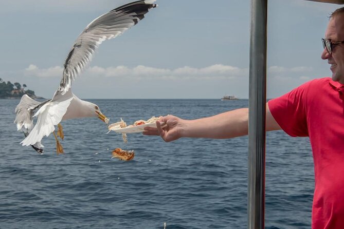 Island Hopping & City Walls Cruise with Food and Open Bar - Lopud: The Main Event and Your Decision Point for Šunj Beach