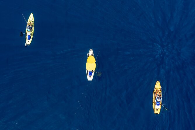Kanjac Kayak Fishing Cavtat - The Fish Targets: What You Might Catch