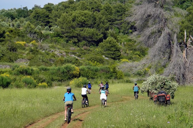 Kayak and Bike Tour to Sipan island from Lopud - Key points before you go
