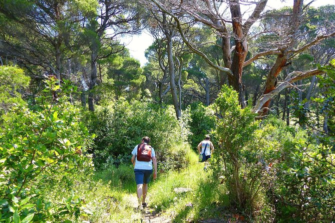Kolocep Island Hiking and Swimming Full Day Trip from Dubrovnik - Lunch after the swim: the beach restaurant choice and cash-only detail