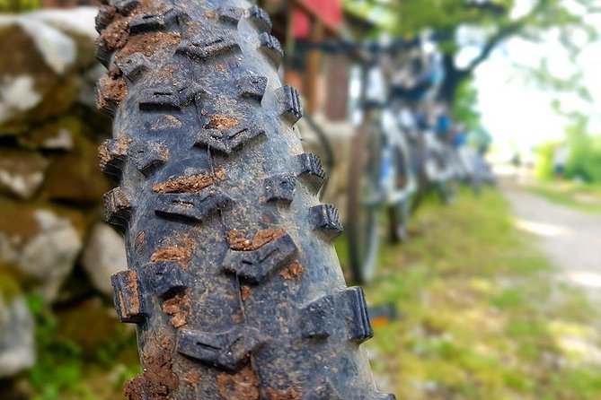 Konavle Biking and Culture Discovery Tour from Dubrovnik - Cadmos Village Adventure Park: your ride start and reset