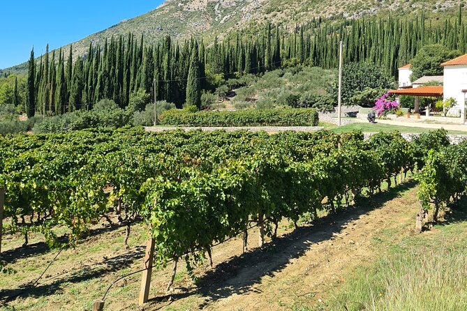 Konavle Gastro & Culture Tour (Private Tour) - Ljuta Old Mills plus sweets and liqueurs: the fun palate stop