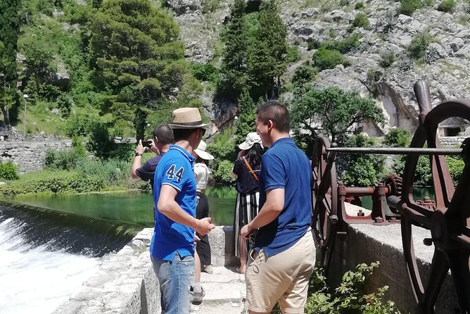 Konavle Gastro Tour From Dubrovnik - Stop 1 in Brajkovici: Brajković vineyard tastings with olive oil and local flavors