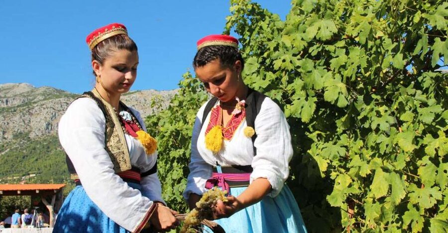 Konavle Valley: Private Half-Day Tour with Wine Tasting - Key Things I’d Focus On