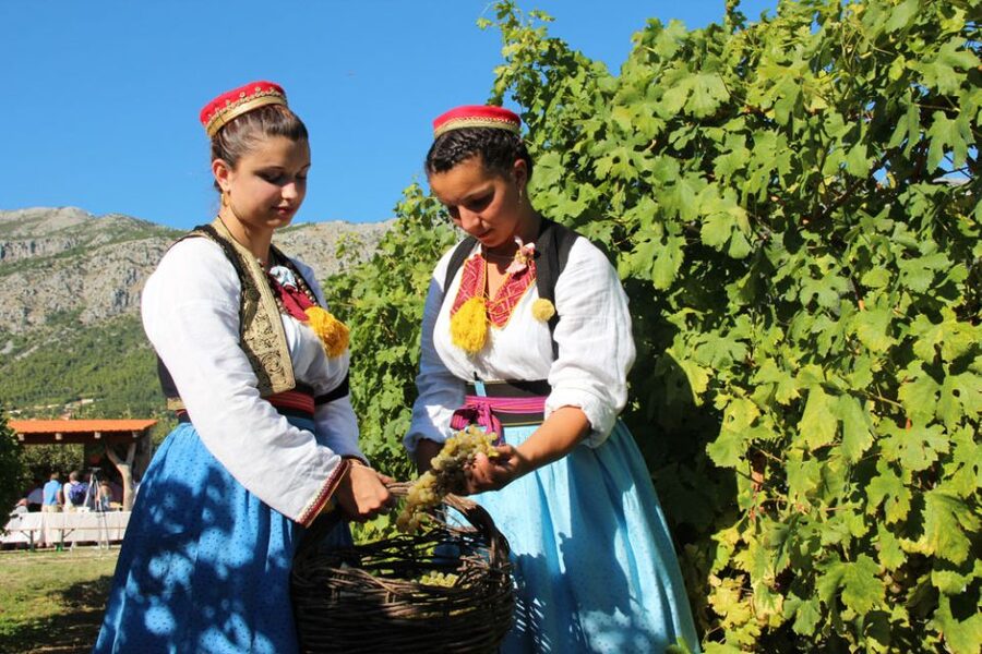 Konavle Valley: Private Half-Day Tour with Wine Tasting - Getting There in an Air-Conditioned Coach, Then Traveling Like Locals