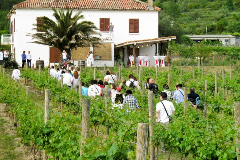 Konavle Valley: Tour with Wine Tasting from Dubrovnik - Quick hits before you go